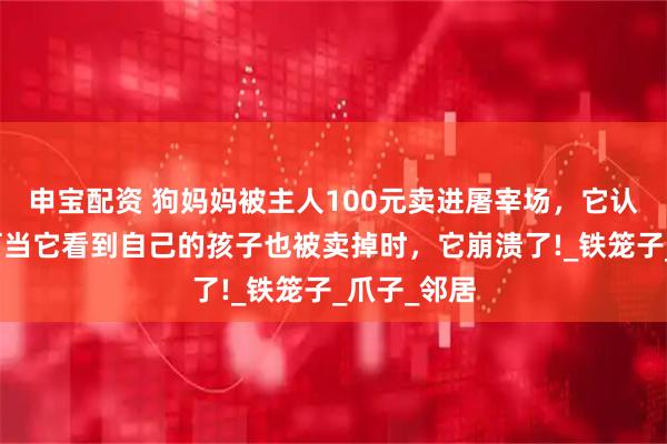 申宝配资 狗妈妈被主人100元卖进屠宰场，它认命等死，可当它看到自己的孩子也被卖掉时，它崩溃了!_铁笼子_爪子_邻居